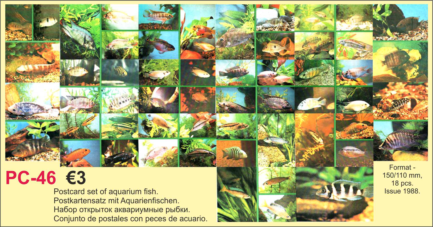 Postcards aquarium fish USSR